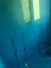 水迪（WATER DICK）卫生间防水涂料k11鱼池泳池饮水池防水胶js可长期泡水池补漏涂料 【卫生间专用】40斤蓝-约16平方 实拍图