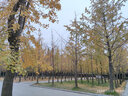 HAILE海乐 红光笔5mw光纤测试笔 通光笔/打光笔5公里SC/FC/ST接头通用 1支 HJ-650H-5 实拍图