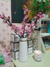 花艺赫家饰  仿真梅花枝假花摆件绢花腊梅干花桃花客厅摆设花束中式家居装饰 70cm浅粉色中式梅花【5支】 实拍图