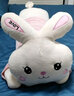 筱虎牙小兔子毛绒玩公仔长条抱枕具玩偶布娃娃睡觉六一儿童节送女友礼物 粉色开心每一天 80厘米 实拍图