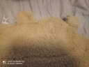 听风说小熊护耳朵帽子女秋冬季可爱冬天毛绒手套围巾连帽一体韩版保暖潮 2合1卡其色 均码 实拍图