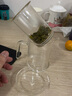 梓童泡茶杯茶水分离玻璃茶具过滤内胆玻璃泡茶器红茶雪菊杯绿茶泡 913泡茶杯350ML 实拍图
