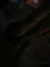 锦枫（jinfeng）富贵竹观音竹水培植物水培花卉盆栽大叶竹转运竹水养客厅绿植水养 65cm转运竹弯竹6棵(带根好养) 不含盆 实拍图