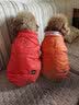 HITF新款宠物狗狗衣服两脚衣背心泰迪比熊幼犬秋冬装小型犬棉衣HITF 红色 XXL(体重12-15斤适用) 实拍图