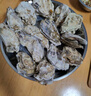 劲霸青芥辣 刺身鲜露230g+青芥辣43g寿司料理 实拍图