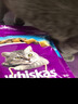 伟嘉猫粮成猫大包装英短猫咪蓝猫海洋鱼味全价实惠营养通用猫干粮 海洋鱼味1.3kg 实拍图