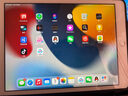 Apple/苹果 二手平板电脑 iPad mini2/4/5/2017/18/19/20款/95新 国行零售机 mini5  256G 插卡版 店保 实拍图