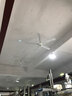 远东 吊扇电风扇工业楼顶扇纯铜大风量宿舍学校吸顶风扇 1.4米56吋五叶壁控【纯铜芯-大风量】 实拍图