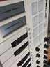 WORLDEworlde 25键便携midi键盘打击垫编曲键盘电音迷笛控制器力度感应 25键 EASYKEY 实拍图