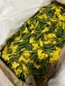 慕朗迪发顺丰 小黄瓜花新鲜青瓜花小嫩黄瓜顶花西餐厅生吃新鲜蔬菜 1000g 实拍图