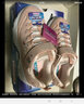 Skechers斯凯奇童鞋女童老爹鞋复古亲子款熊猫鞋儿童运动鞋休闲鞋80579N 浅粉色-LTPK 单层 26 实拍图