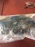 蝶岛船说 东山岛冷冻石斑鱼 深海龙胆石斑鱼 海捕珍珠斑 海鲜水产 【石斑鱼两条】每条500-600g 实拍图