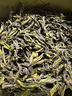 徽六绿茶潜香2000六安瓜片特一级60g 2025新茶上市雨前罐装茶叶花香 实拍图