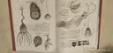 地球46亿年 人类出现之前的故事 9岁以上古生物生命起源生命演化科普百科 浪花朵朵童书 后浪正版 实拍图