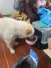 纯福（chunfu）小型犬犬粮幼犬成犬狗粮全期通用型营养专用3斤装 实拍图