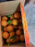 良知农哥【顺丰/JD】【地标认证】正宗德庆贡柑 皇帝柑 新鲜水果 带箱 5斤礼盒大果丨4-5个/斤 实拍图