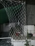 卓盛花卉 建筑安全网尼龙网围网阳台防护网隔离防坠网工地水平网施工保护 10厘米网孔3米宽，长几米拍几件 实拍图