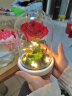 依雯然（Ivenran）生日礼物女永生花母亲节520情人节礼物送女友小王子玫瑰花玻璃罩 实拍图