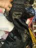 纪安芬 新品产后塑身衣连体无痕收腹束腰美体衣提臀收副乳束身衣薄款 女 黑色 XL建议（（106-115斤） 实拍图