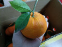 逮果重庆奉节脐橙 当季新鲜水果橙子广柑10斤装夏橙生鲜水果年货礼盒 带箱20斤装 晒单实拍图