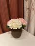 黛莉森 单支绣球花 假花 仿真花 轻奢欧式绢布花束客厅餐桌花插花婚礼装饰花家居玄关茶几办公室摆件 浅粉 实拍图