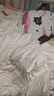 蚕花娘娘（SILKUEEN）蚕丝被100%桑蚕丝纯棉国标优等品被丝绵被夏凉被春秋薄被子母被芯 总重约3+5斤（子母被丝重1+3斤) 200*230cm白 实拍图