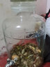 渊协泡酒玻璃瓶泡酒瓶带龙头泡酒容器专用药酒坛子加厚密封罐家用酒缸 20斤加厚+不锈钢龙头 实拍图