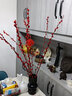 雪柳干枝水插花水培鲜花室内遇水开花客厅阳台观花绿植雪柳花鲜枝水养年宵花卉植物 银柳红色10支80厘米高 含瓶【见详情首张图】 实拍图