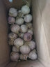 柏馋【精选鲜蒜】紫皮独头蒜新鲜辛辣香 新蒜干蒜当季整箱农家自种整 独头蒜  中果2.5-3.0cm 1斤 实拍图