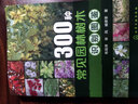 300种常见园林树木识别图鉴 实拍图