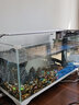 爬将军新款鱼缸生态超白玻璃缸家用客厅办公室桌面养金鱼斗鱼水族箱造景 60CM缸【世外桃源套餐】+养鱼大礼包 实拍图