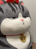 吾皇猫公仔猫咪毛绒玩具陪睡超大玩偶娃娃生日38送女神节礼物夹腿长条抱 吾皇蹲姿公仔80cm 常规 实拍图