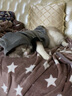 Lanswood 猫咪衣服防掉毛猫衣服冬保暖布偶猫无毛猫衣服搞笑狗狗宠物衣服 主图款【复合卫衣】灰 XL (10-13斤背长40cm胸围51-56cm 实拍图