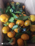 妮姬武鸣鲜甜沃柑橘子澳柑一级新鲜水果乌枖杆斤南宁茂谷香妃柑 实拍图