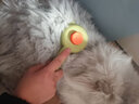 多可特猫狗梳子猫耳一键除毛器针梳除毛梳去浮毛猫咪专用清理器撸猫神器 除毛梳-橙绿色【猫犬通用】 实拍图