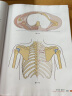 骨关节功能解剖学:第一卷上肢（原书第7版） 实拍图