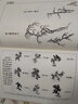 芥子园画谱 白话文版无删减芥子园画传王概著巢勋临本国画临摹画册树画谱工笔画技法写意画入门工具教程书 实拍图