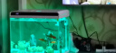 森森（SUNSUN） 超白玻璃小鱼缸客厅小型桌面家用水族箱生态免换水金鱼缸 HE480高档缸+假山景ZJ-18(内置棉和滤材) 实拍图