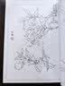 满庭芳 工笔白描百花画谱 实拍图