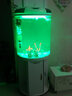 闽江（minjiang）半圆形鱼缸水族箱圆柱型金鱼缸客厅生态造景免换水锦鲤乌龟缸 纯白色+礼包+造景+升级过滤 BY560（鱼缸+储物柜子） 实拍图