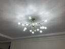 长虹照明led吊灯新中式客厅灯现代简约餐厅灯卧室灯书房灯具组合套餐 50*9CM/36W三色-HS6920-胡桃木色 实拍图