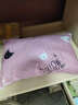 潮寝枕头宿舍学生可拆洗枕芯双人单位工地一个装单人可爱枕头芯 粉色猫咪一只装【枕芯+枕套】 实拍图