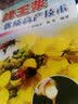 蜂王浆优质高产技术 实拍图