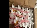 中瓷 美缝剂品牌瓷砖地砖家用防水防霉美缝胶卫生间真瓷胶填缝剂工具 贵族银（店长推荐） 415g 实拍图