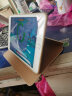 Apple苹果 iPad Air1/Air2/Air3 迷你mini2/4/5 二手平板电脑ipad mini4 32G WiFi版  9成新 实拍图