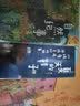 大作家写给孩子们：夏天的鞋子：川端康成给孩子们的故事 校园家庭生活 成长故事 儿童文学佳作9岁+ 暑期阅读课外阅读推荐 实拍图