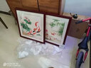 天尚喷画 荷花九鱼图客厅餐厅装饰画国画玄关过道走廊墙画壁画书房墙挂画 九鱼图-2红褐色外框 50*50书房推荐 MDF材质 实拍图
