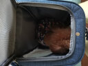 贝尼宠 猫包外出 猫背包双肩外出大号太空舱透明透气网格装猫书包 猫包蓝色小号带支撑12斤 实拍图