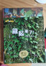 生命的故事番外：藏起来了（虫儿们、鱼儿们）（套装共2册）3-6岁儿童科普绘本昆虫动物百科全书(中国环境标志 绿色印刷) 实拍图