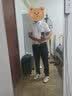 马尼亚袋鼠（MANIYADAISHU）商务大学生公务职业正装男士休闲衬衣面试纯白色短袖薄款衬衫员男 白色 3XL(42)合适155-170斤 实拍图